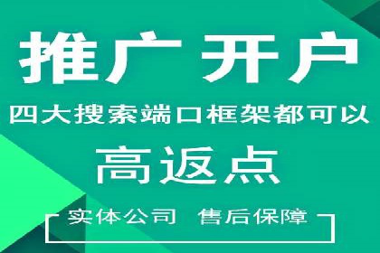 SEM托管代运营案例：优化广告投放策略